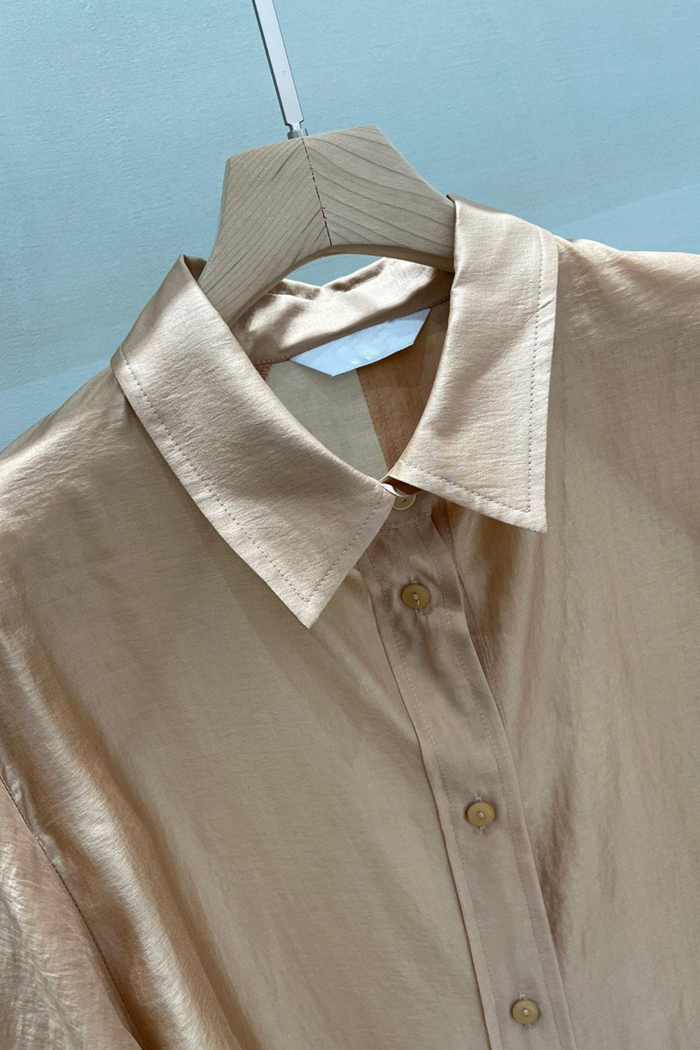 Blouson Sleeve Button-Up Shirt