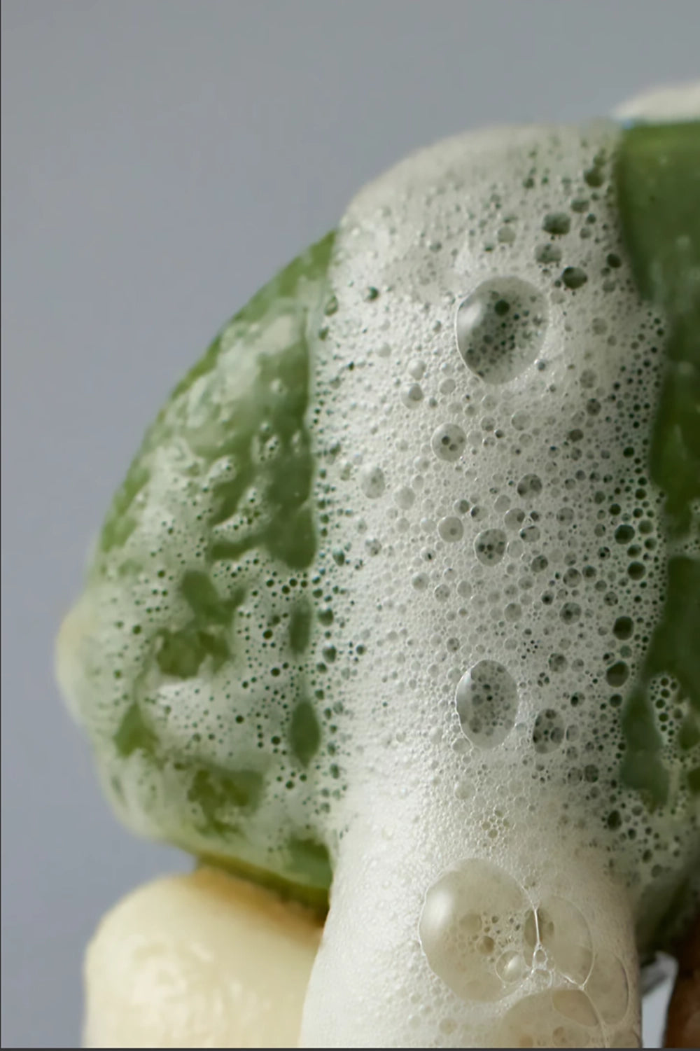 Salt Shampoo Bar Basil