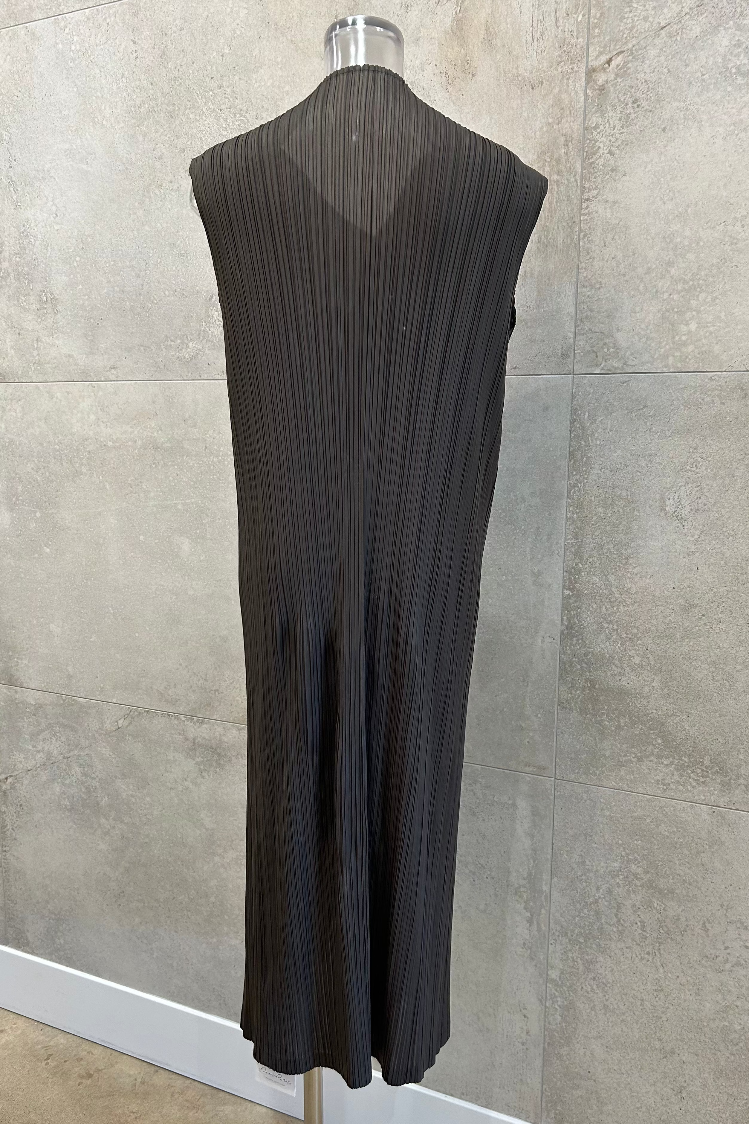 Drapery Pleats Long Dress