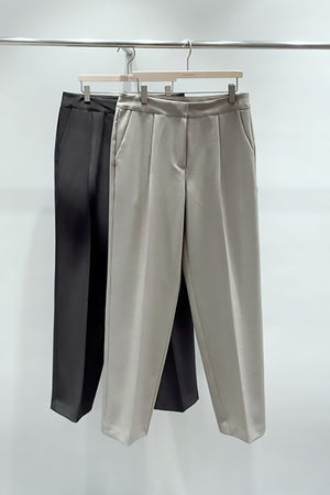 Aimie Front Pleated Straight Fit Pants