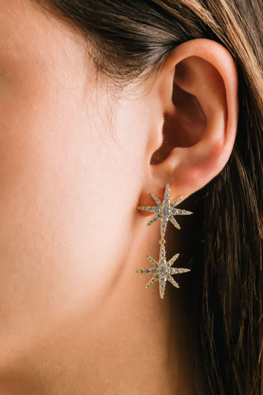 Cute drop earrings