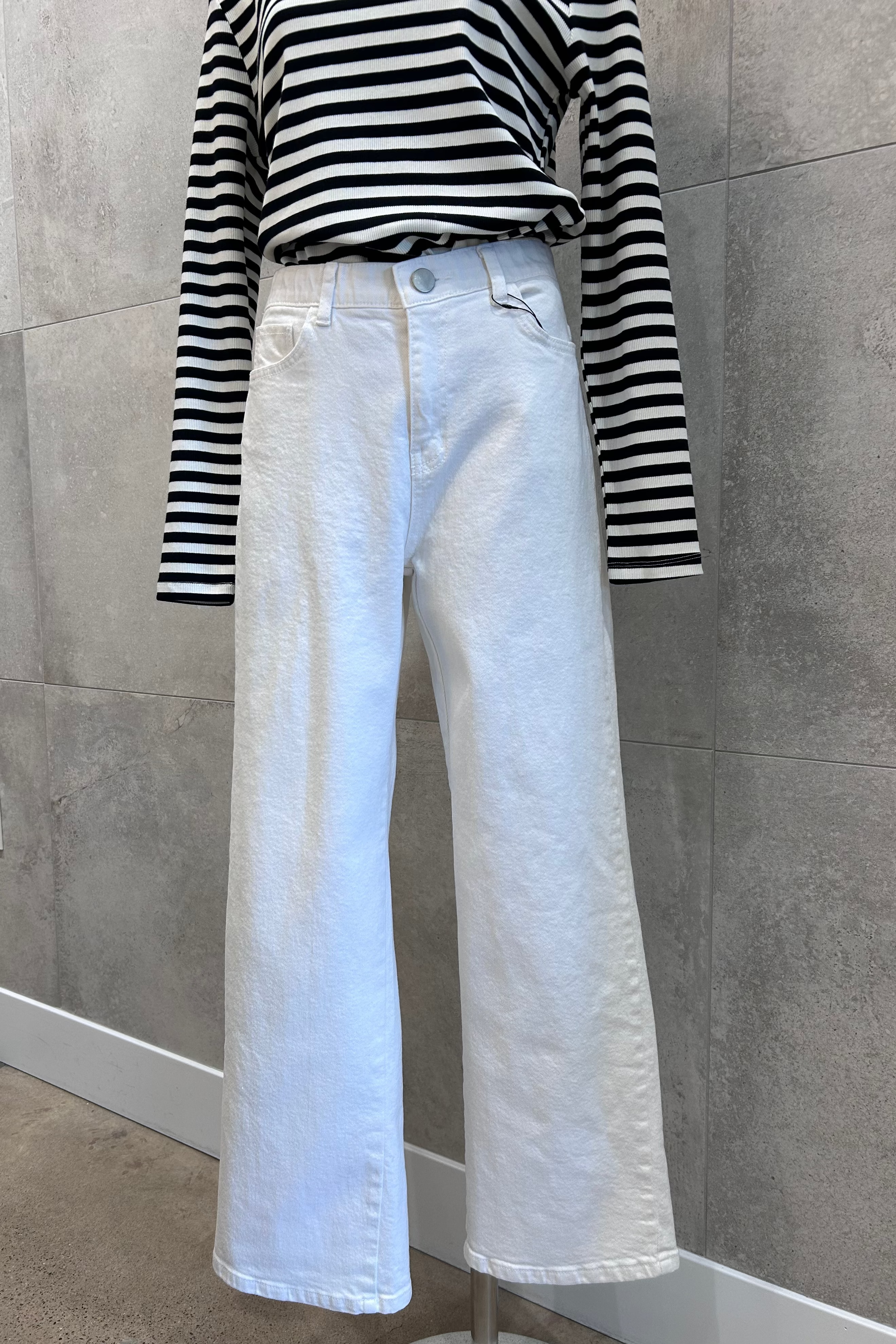 Ara Straight Fit Cotton Pants