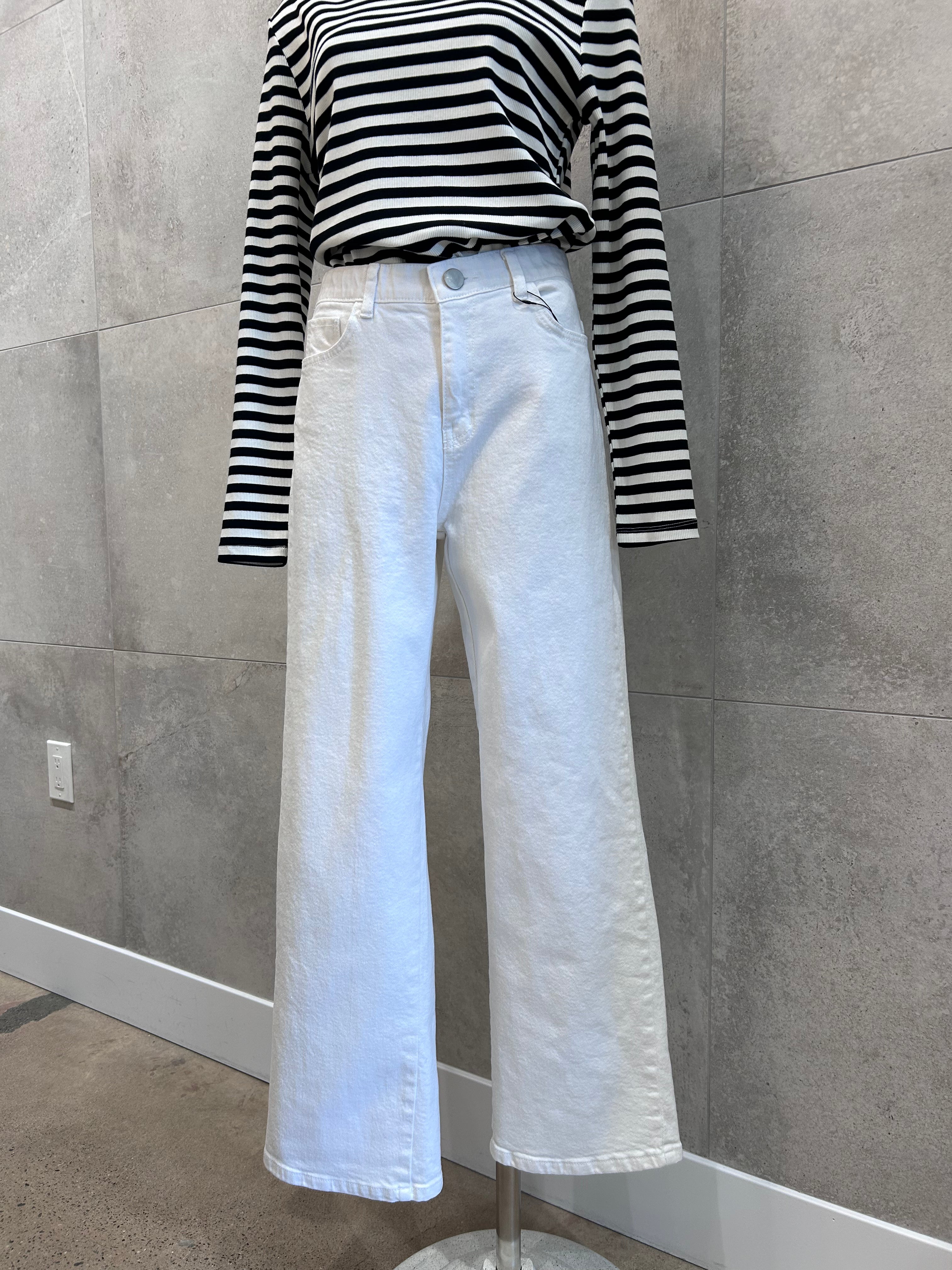 Ara Straight Fit Cotton Pants