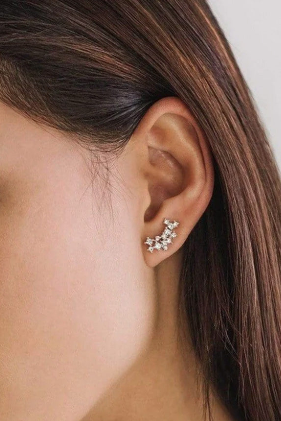 Cute holiday earrings
